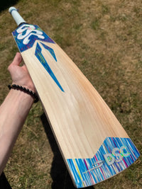 DSC BLU 200 Lightweight Cricket Bat SH 2lbs 8oz