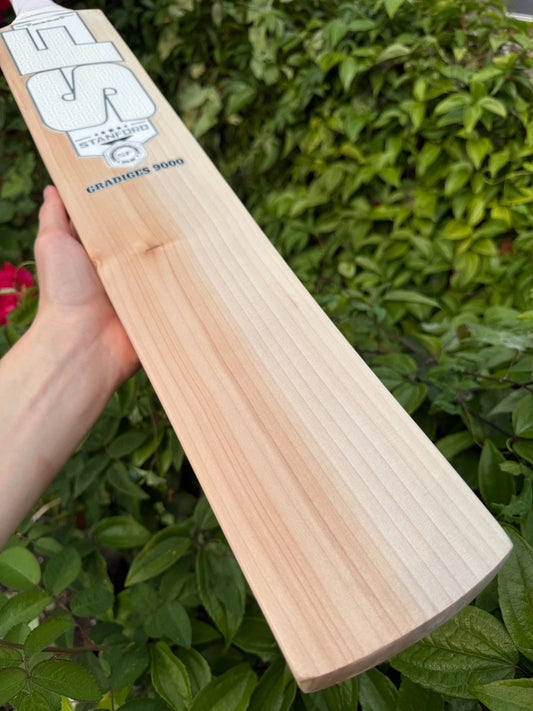 SF Stanford Gradiges 9000 Cricket Bat SH 2lbs 10oz