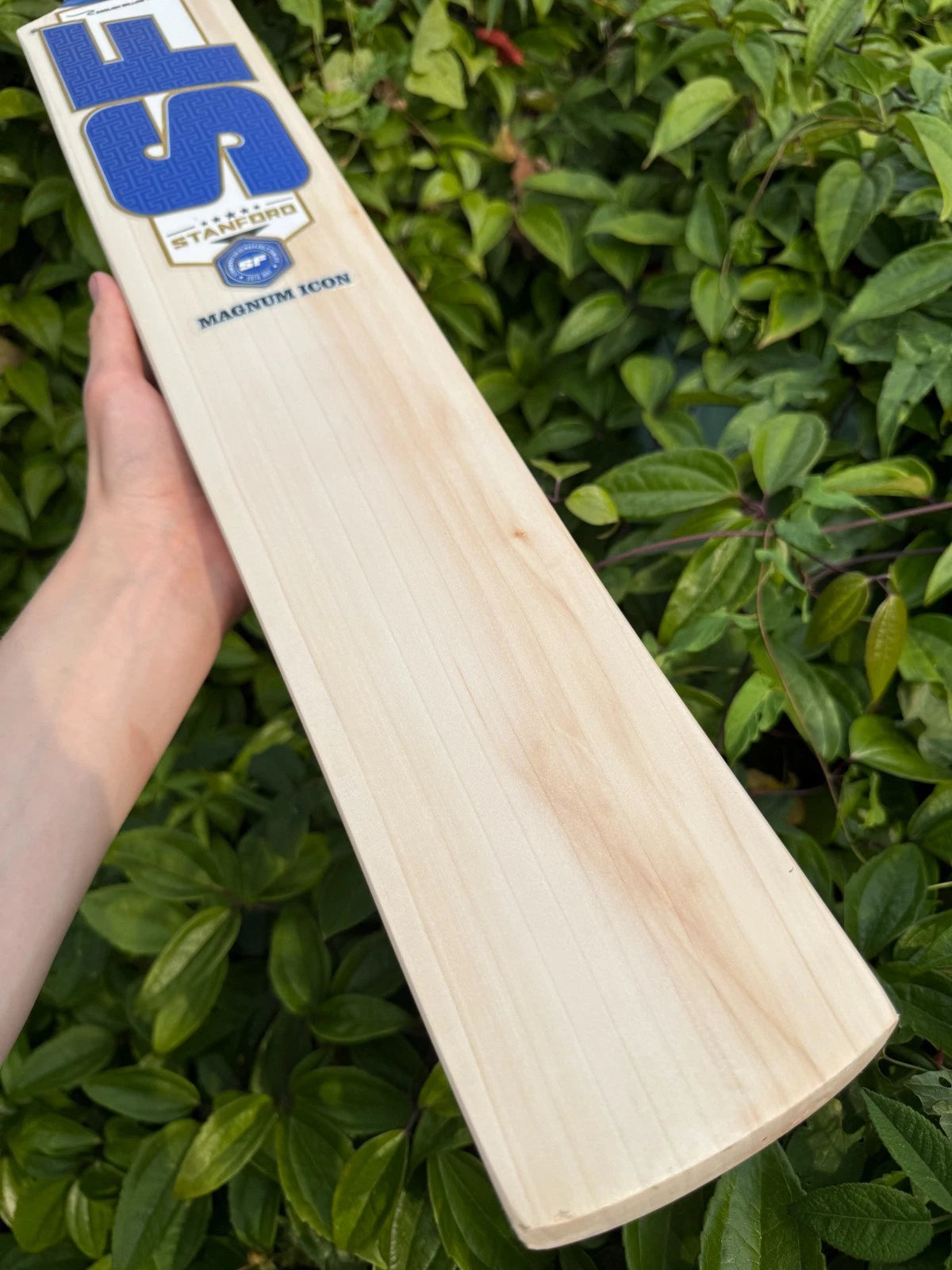 SF Stanford Magnum Icon Cricket Bat SH
