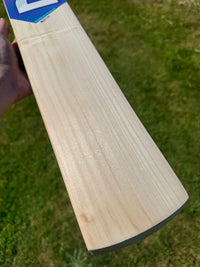 DSC Blu 100 Cricket Bat Short Handle 2lbs 10oz