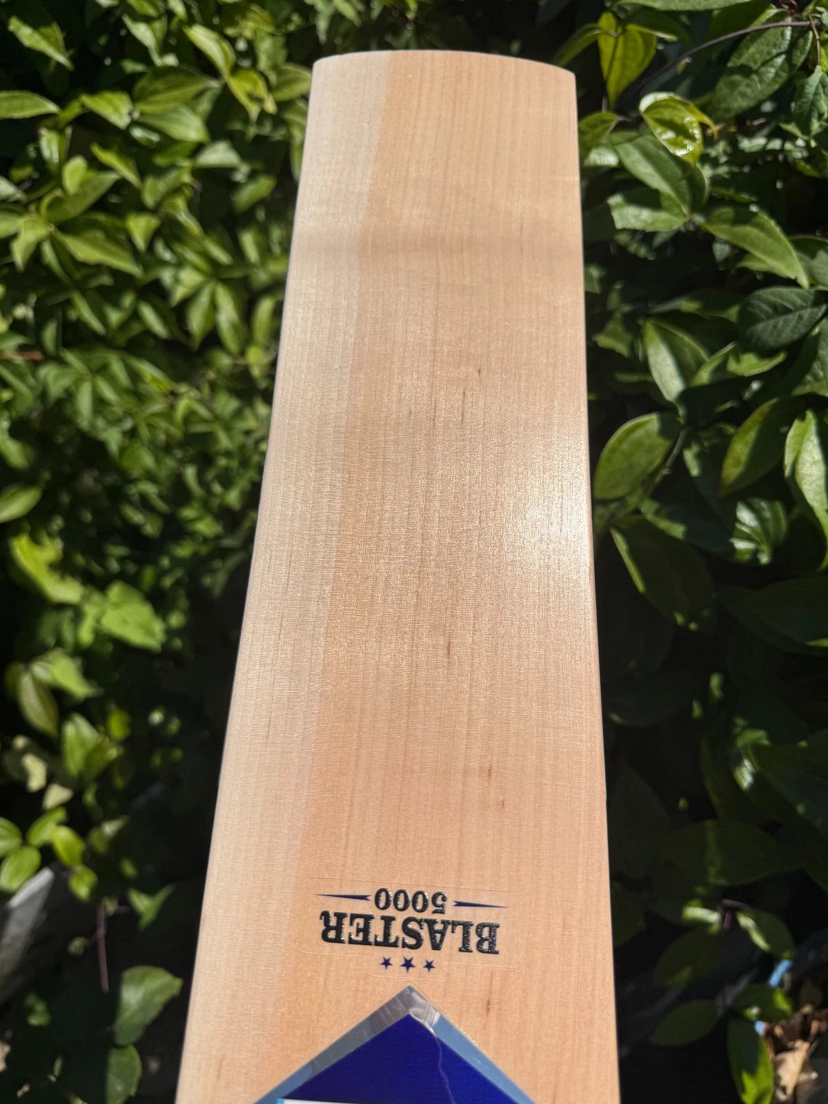 SF Stanford Blaster 5000 Cricket Bat SH - 21 Grains