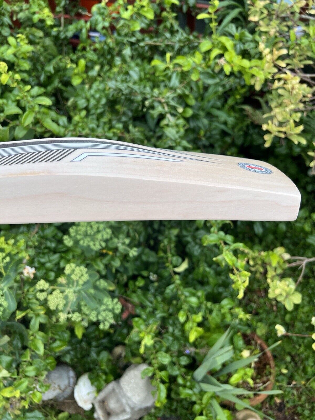 Gray Nicolls Limited Edition Lightweight Cricket Bat SH 2lbs 8oz