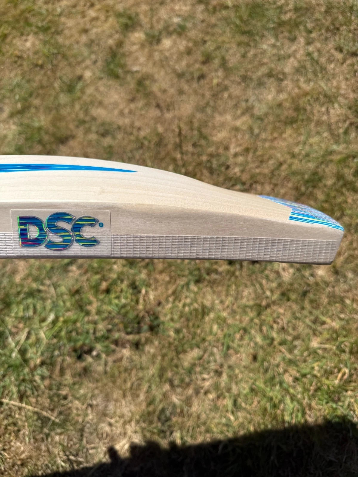 DSC BLU 200 Lightweight Cricket Bat SH 2lbs 8oz