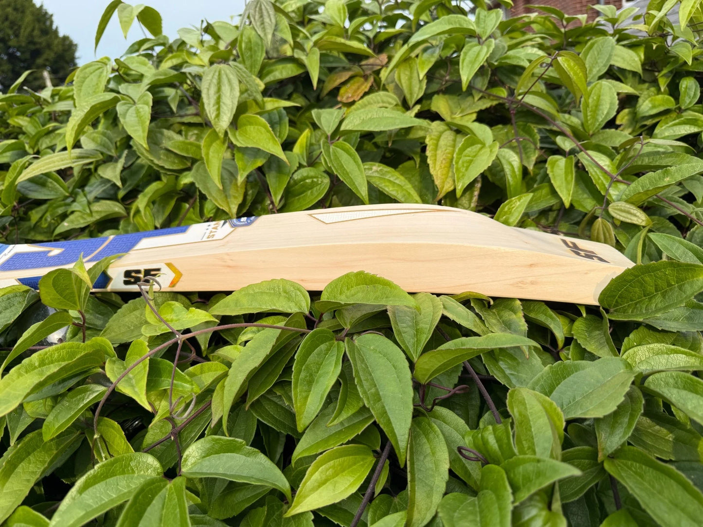 SF Stanford Magnum Icon Cricket Bat SH