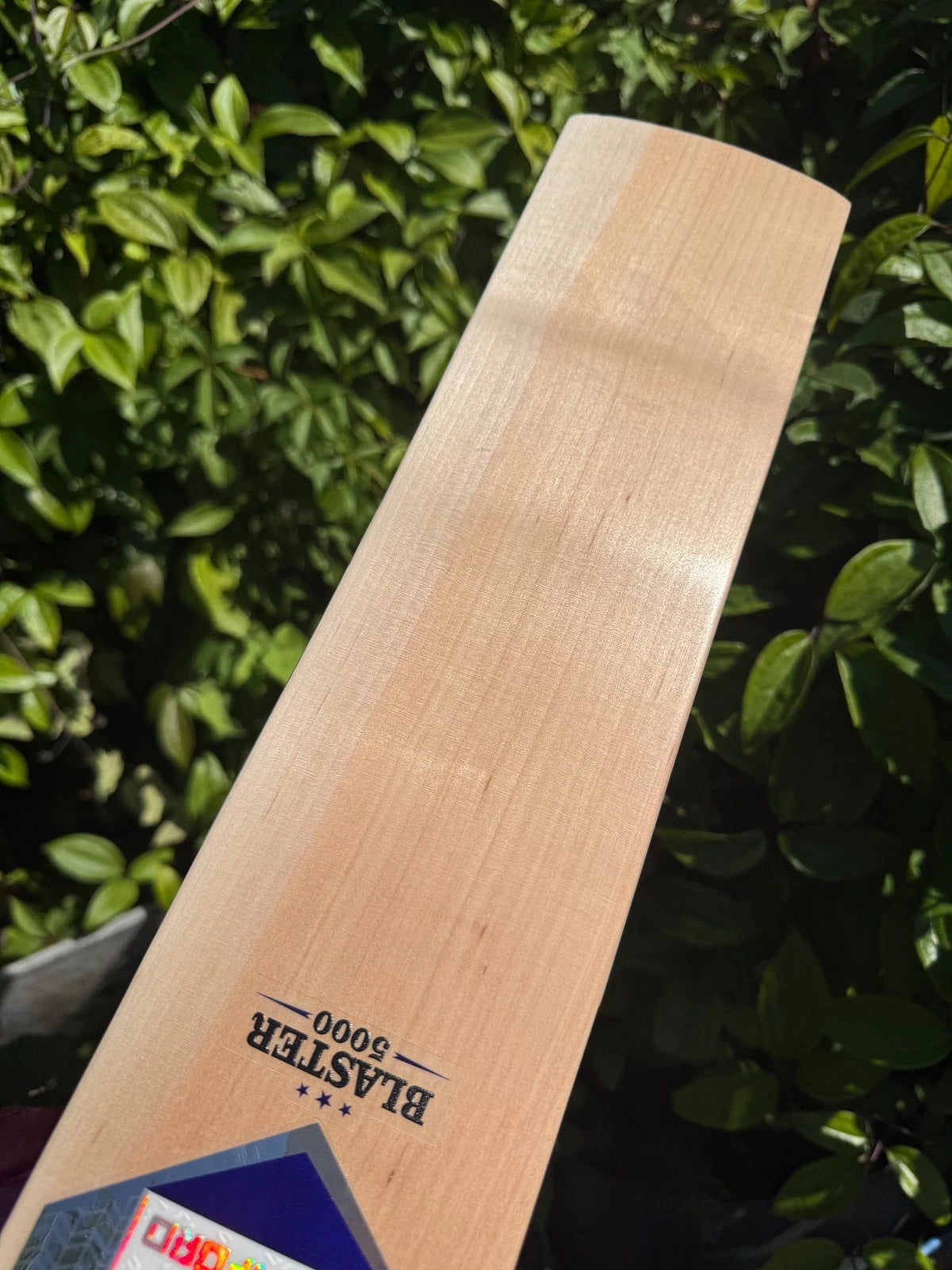 SF Stanford Blaster 5000 Cricket Bat SH - 21 Grains