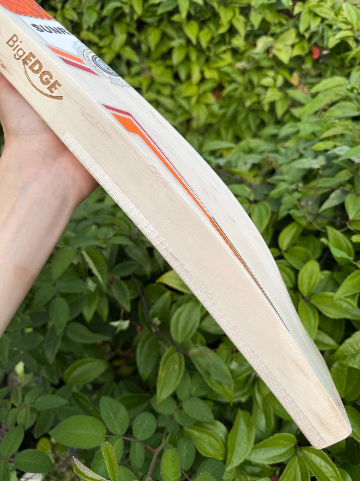SS TON Players 5000 Cricket Bat Short Handle 2lbs 9oz