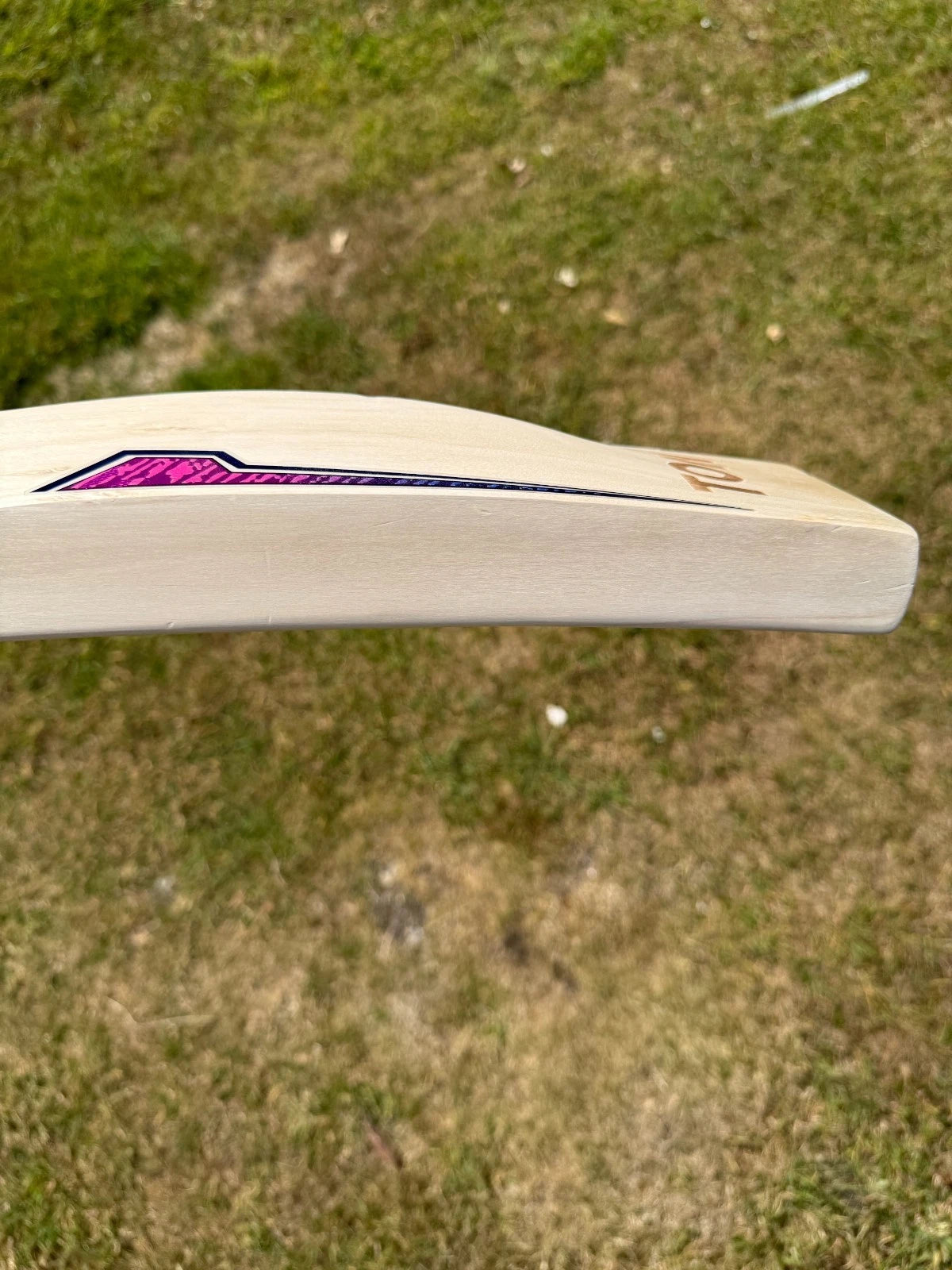 SS Sky Blaster Cricket Bat Short Handle
