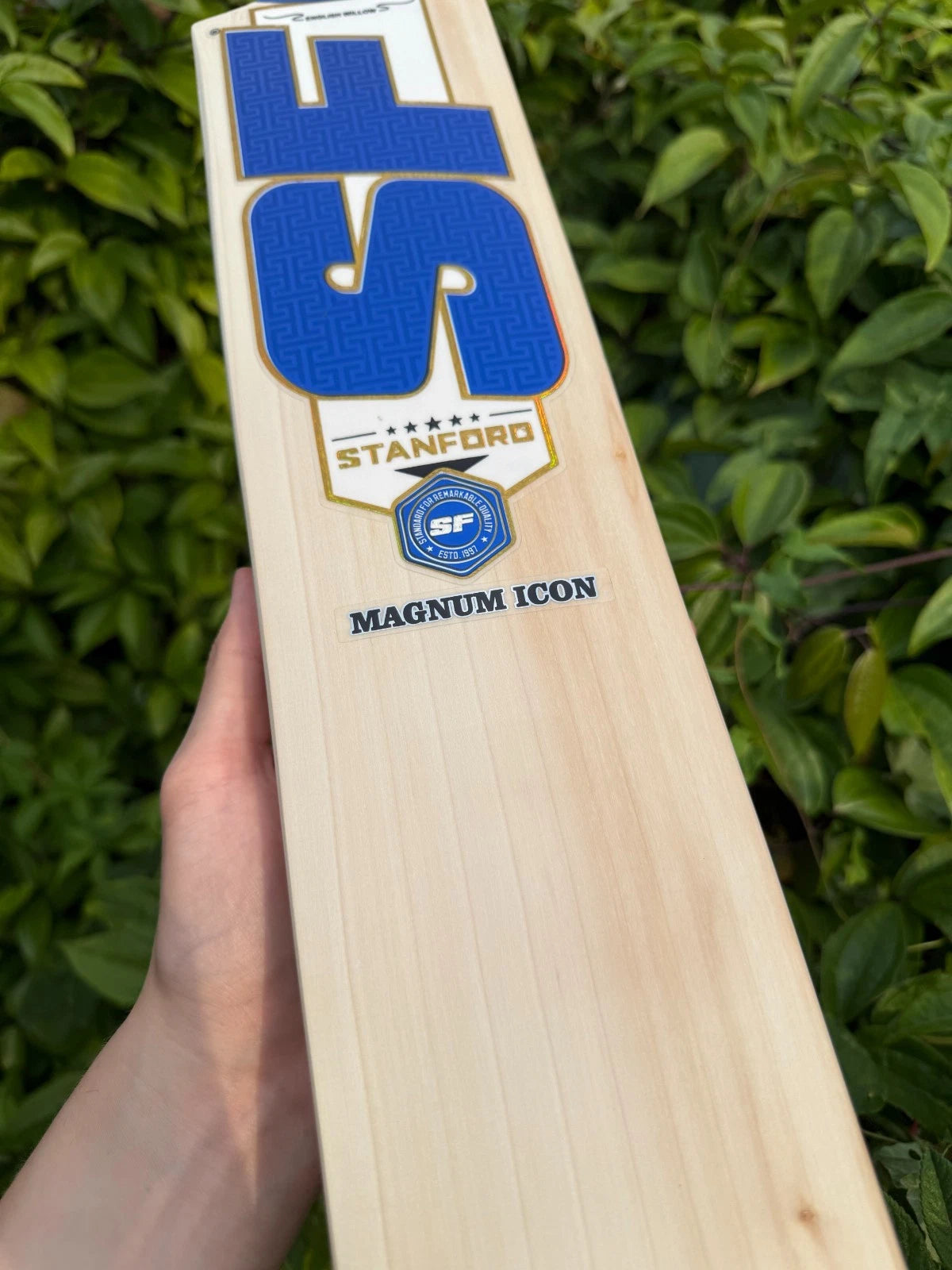 SF Stanford Magnum Icon Cricket Bat SH