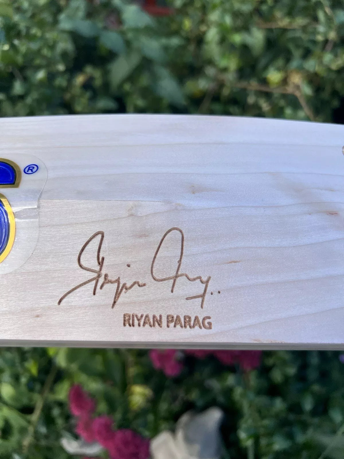 SS TON Riyan Parag Players Edition Cricket Bat Short Handle