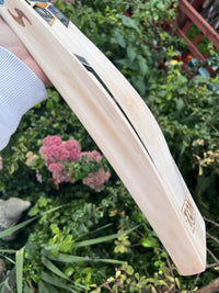 SS TON Pro Players Edition Cricket Bat Short Handle