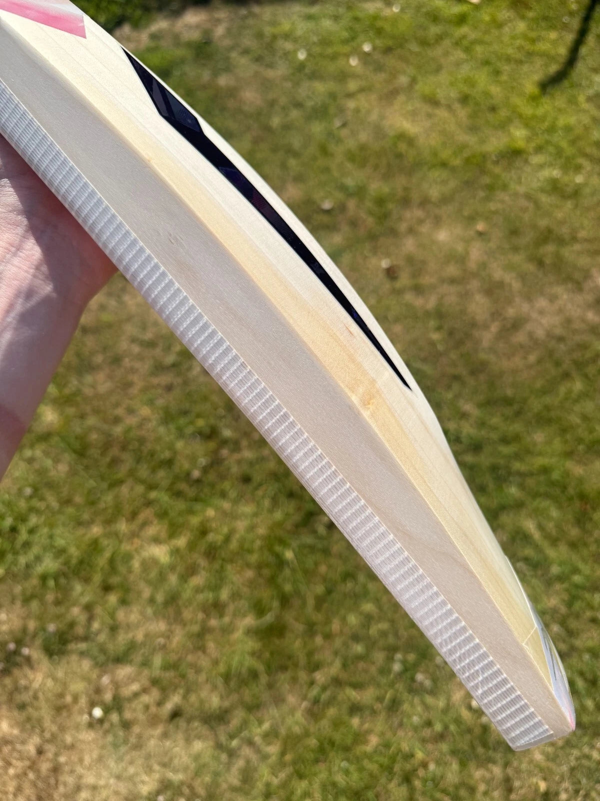 DSC Condor Drive Grade 1 Cricket Bat