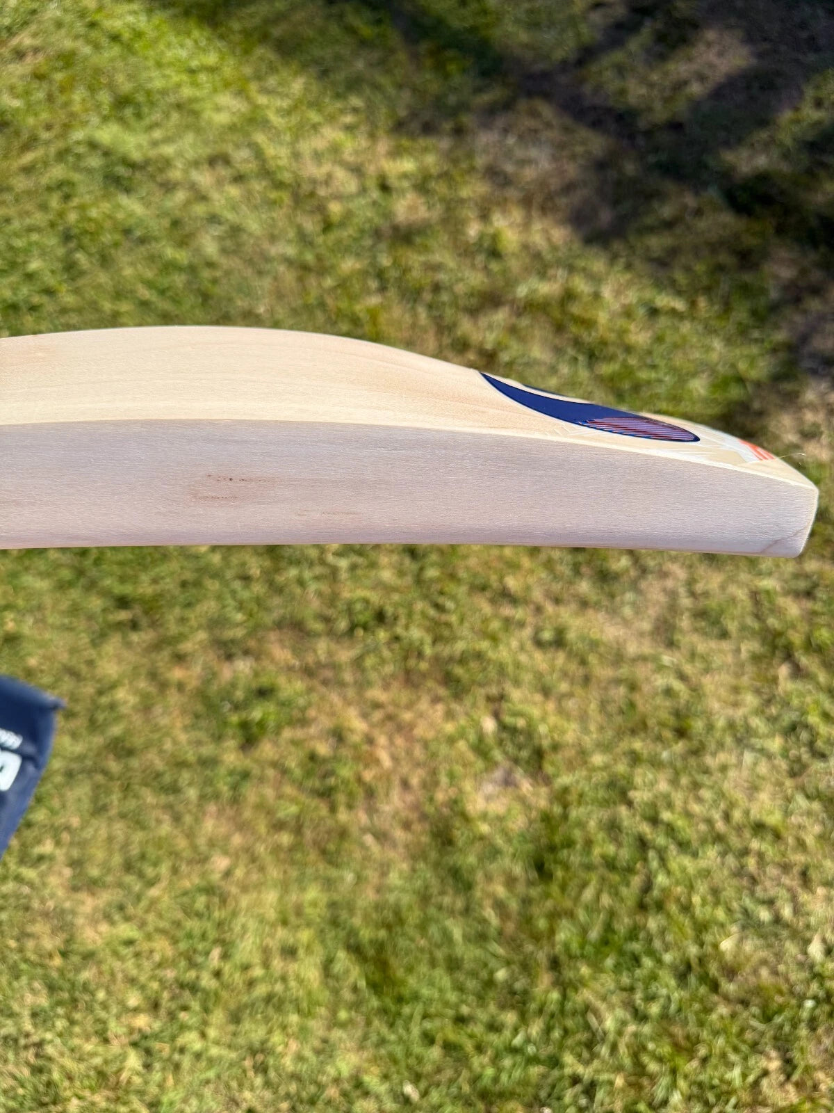 DSC Krunch 7.0 Lightweight Cricket Bat 2lbs 8oz