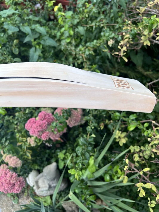 SS TON Pro Players Edition Cricket Bat Short Handle