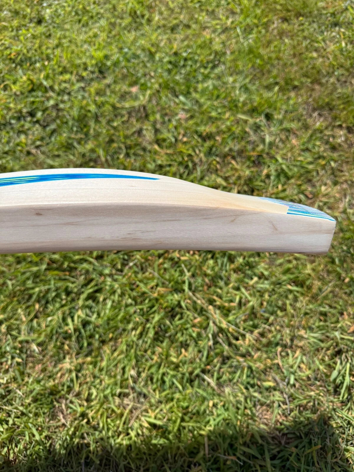 DSC Blu 100 Cricket Bat 2lbs 9oz