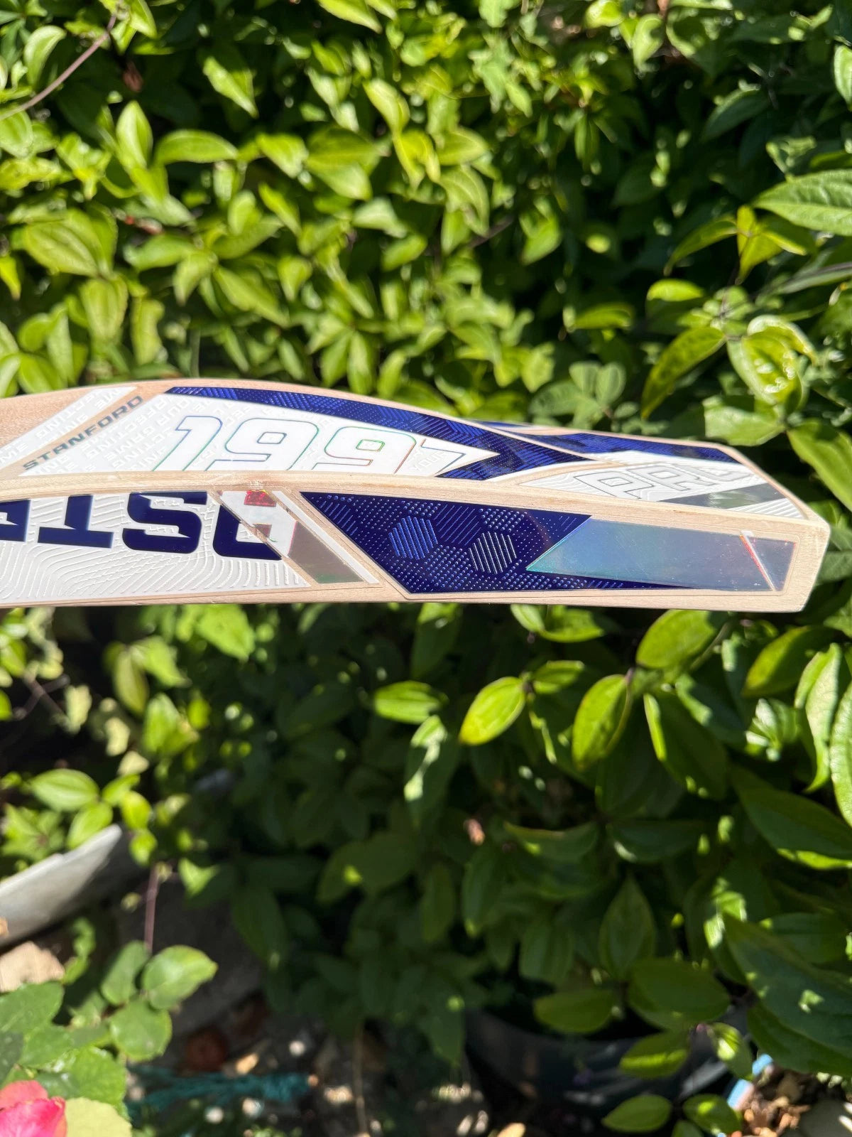 SF Stanford Blaster 5000 Cricket Bat SH - 21 Grains