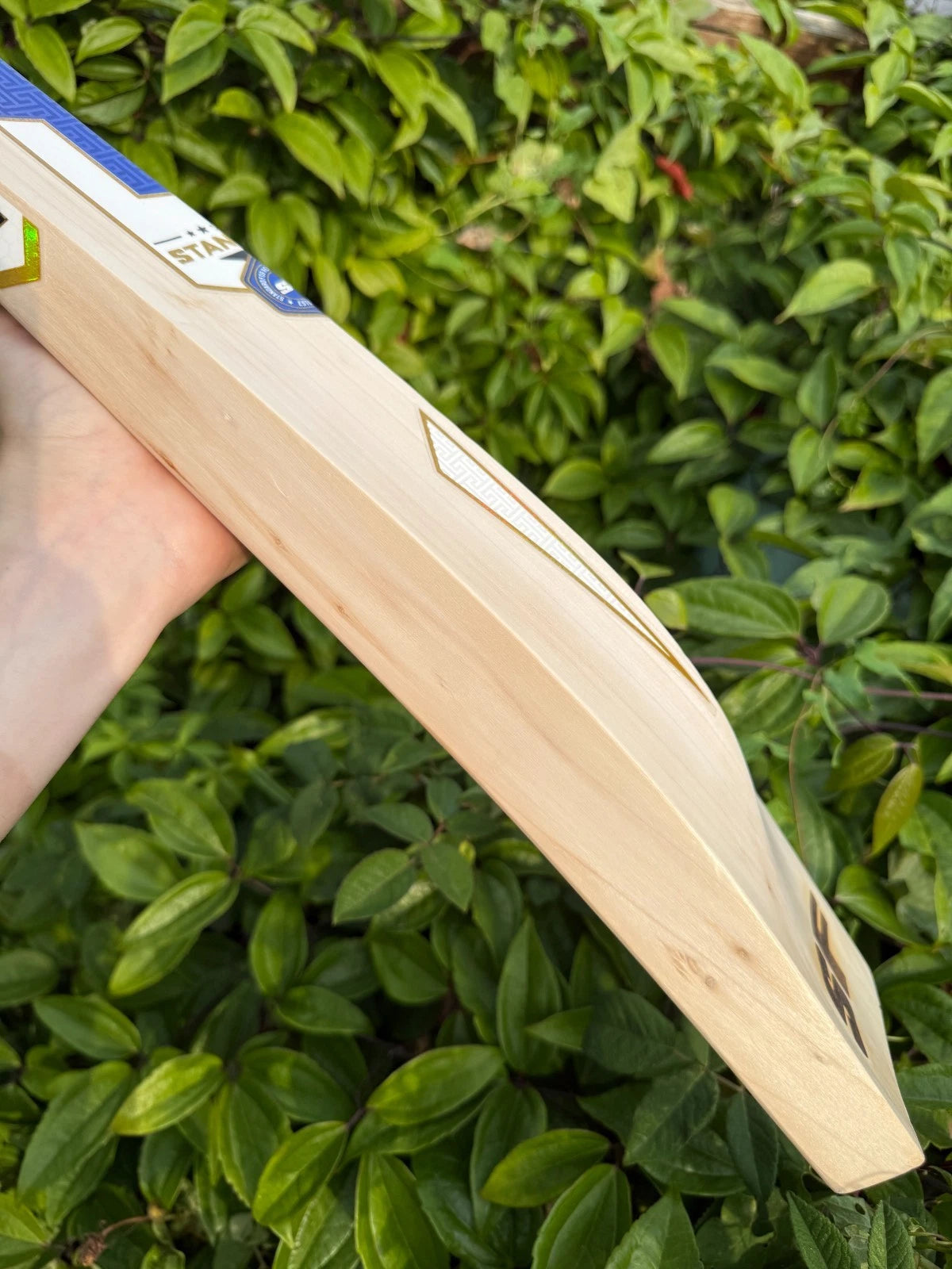 SF Stanford Magnum Icon Cricket Bat SH