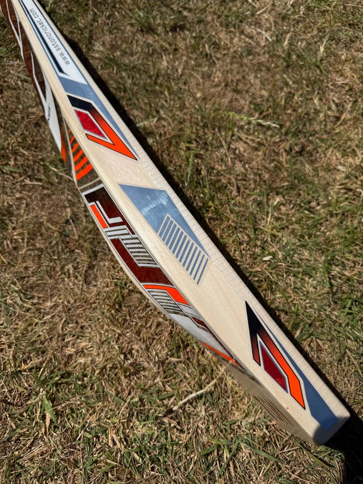 SS TON Tiger Cricket Bat Short Handle 2lbs 10oz