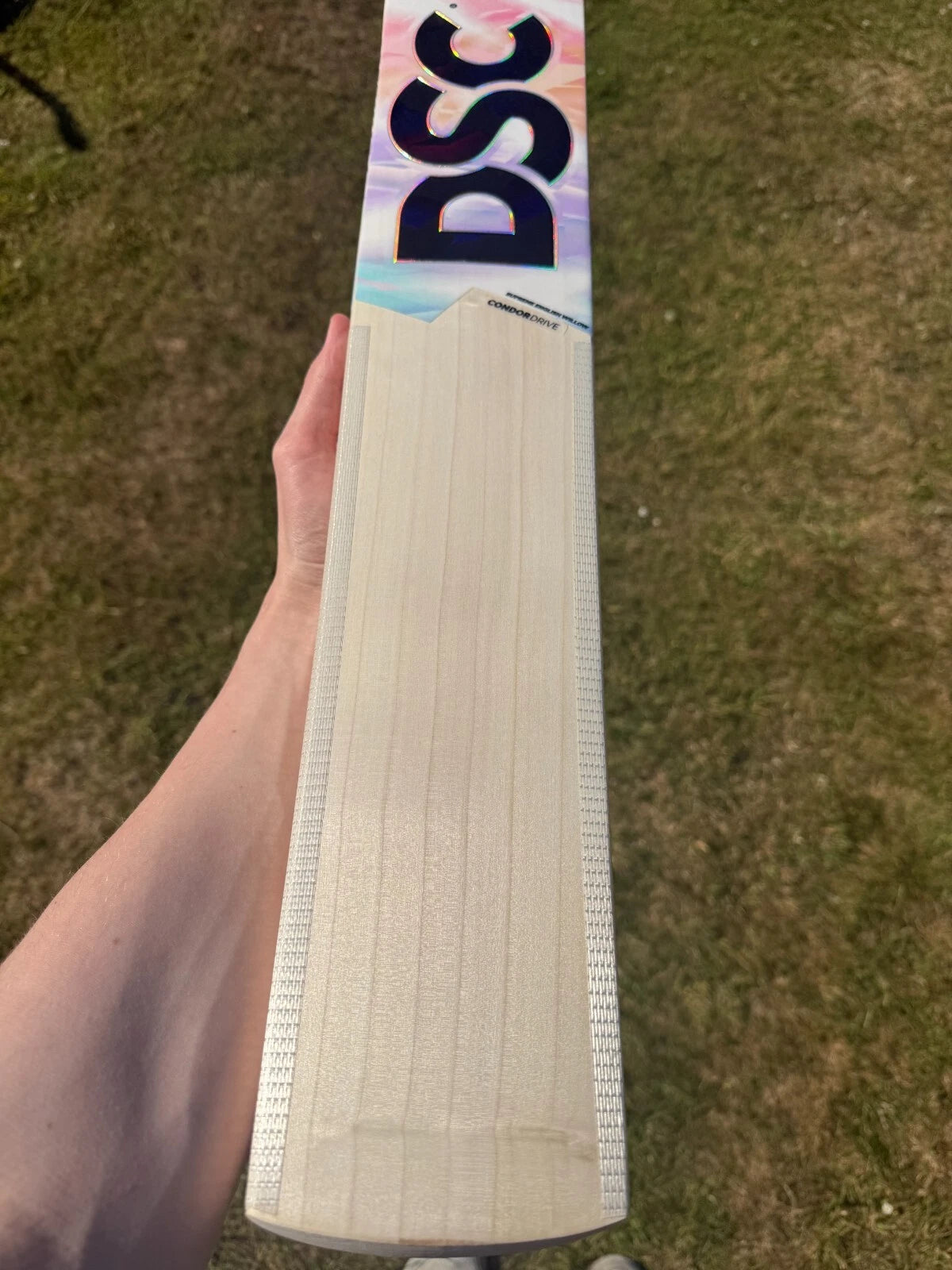 DSC Condor Drive Grade 1 Cricket Bat
