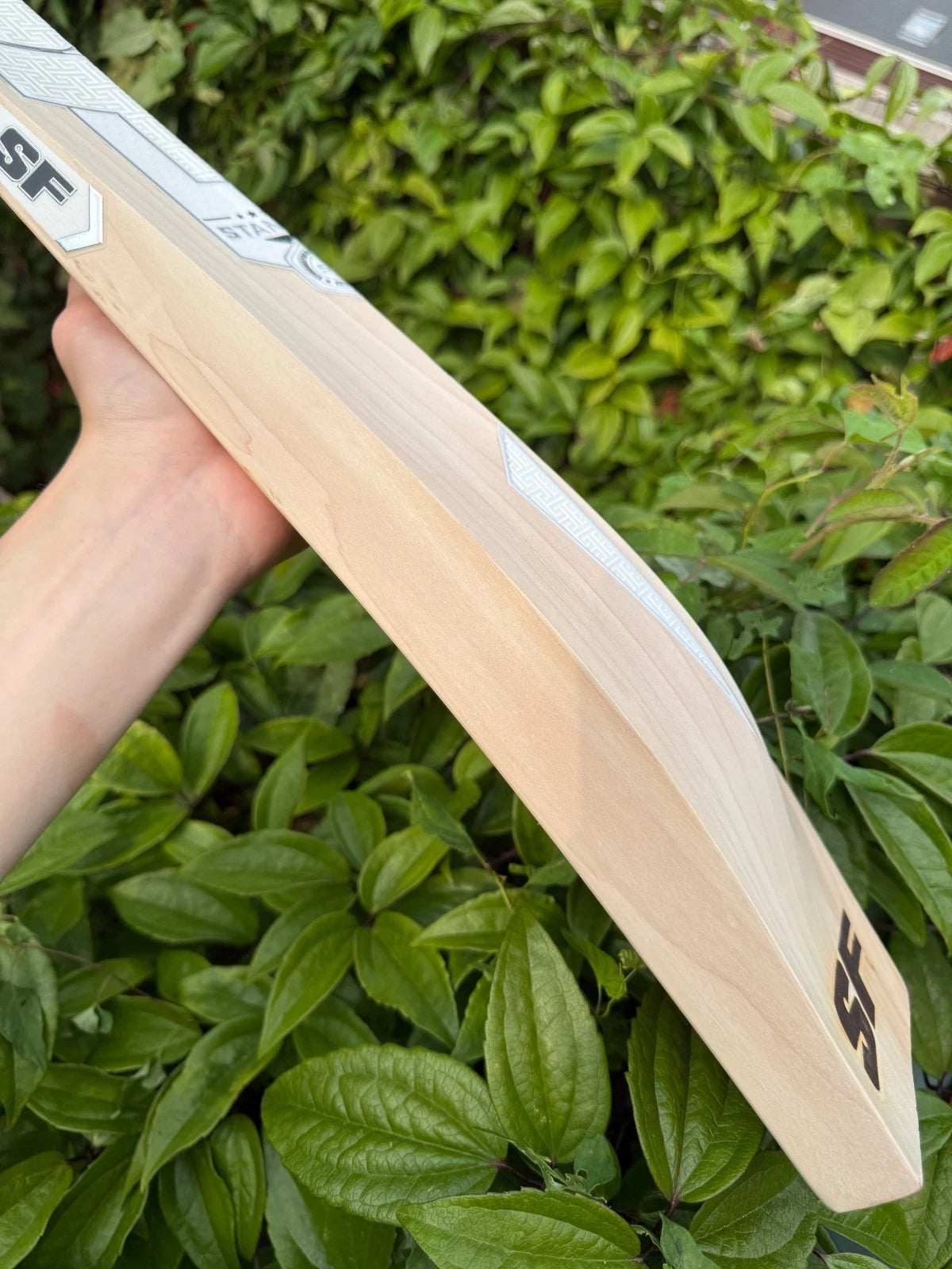 SF Stanford Gradiges 9000 Cricket Bat SH 2lbs 10oz
