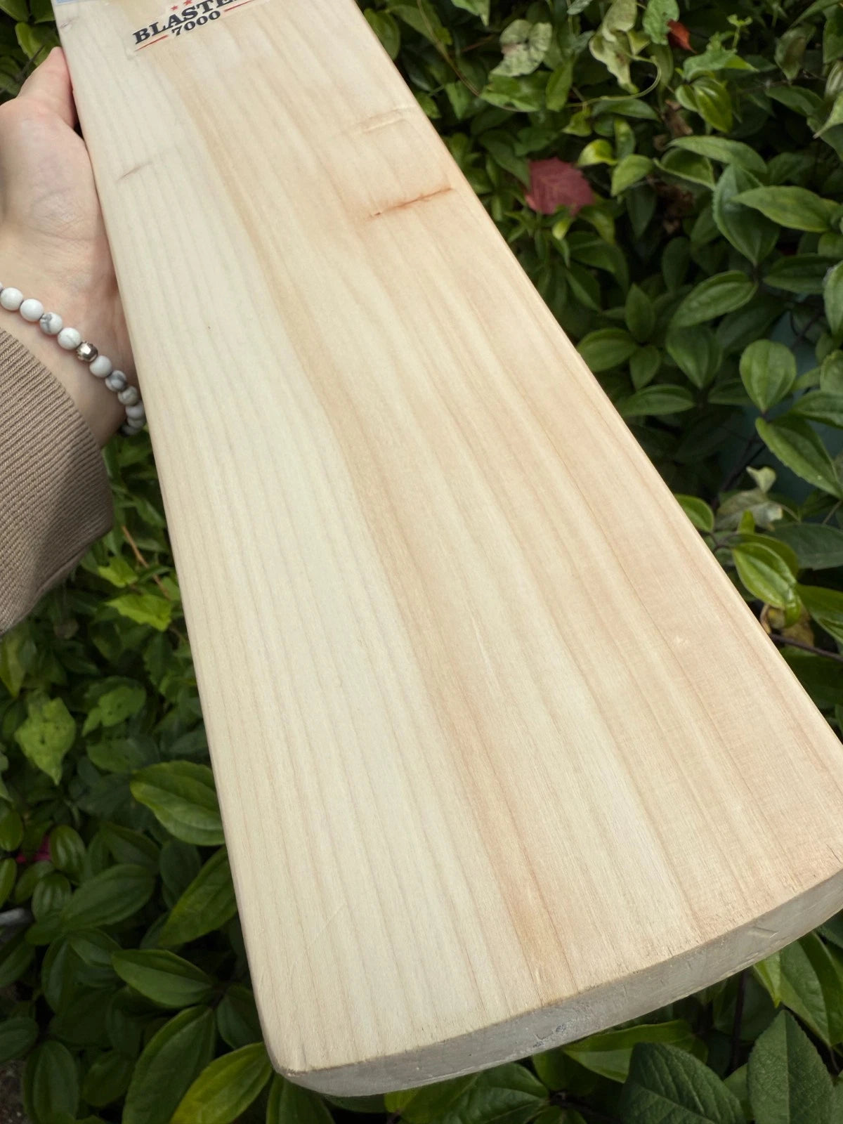 SF Stanford Blaster 7000 Cricket Bat SH 2lbs 10oz