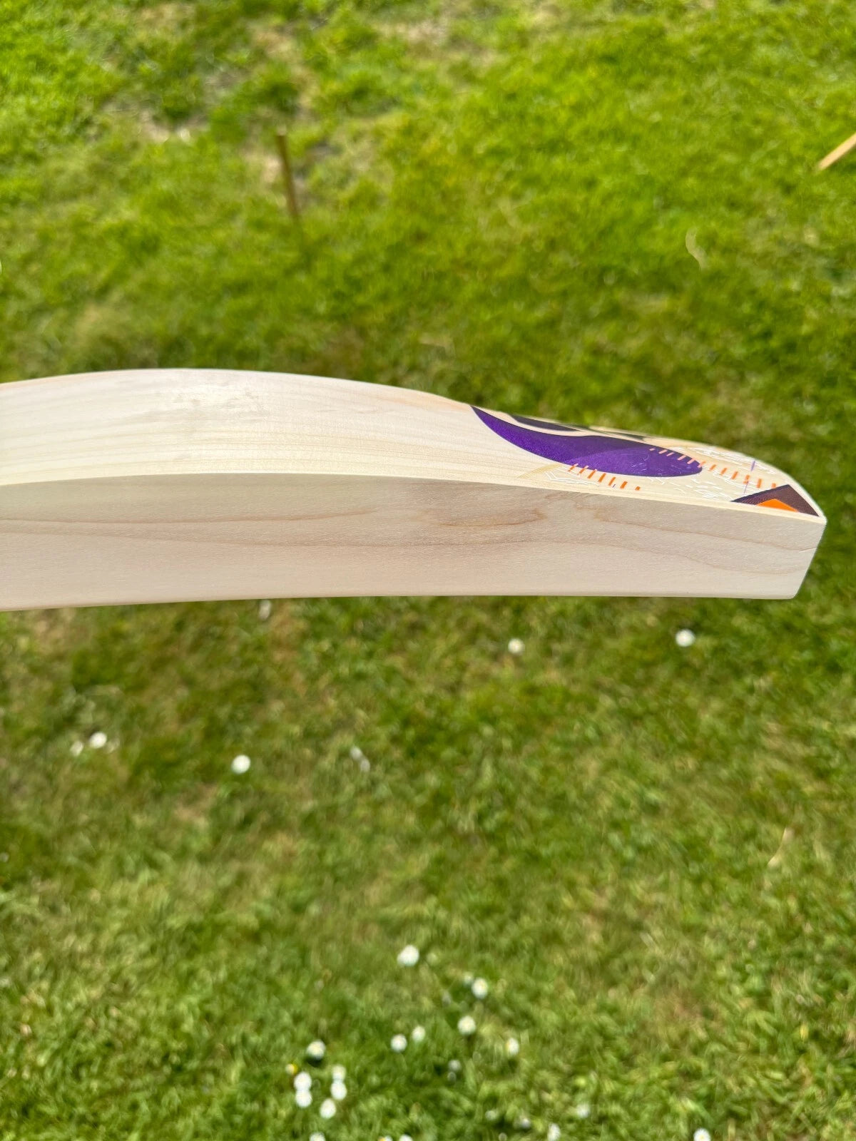 DSC Krunch 5.0 Cricket Bat 2lbs 8oz