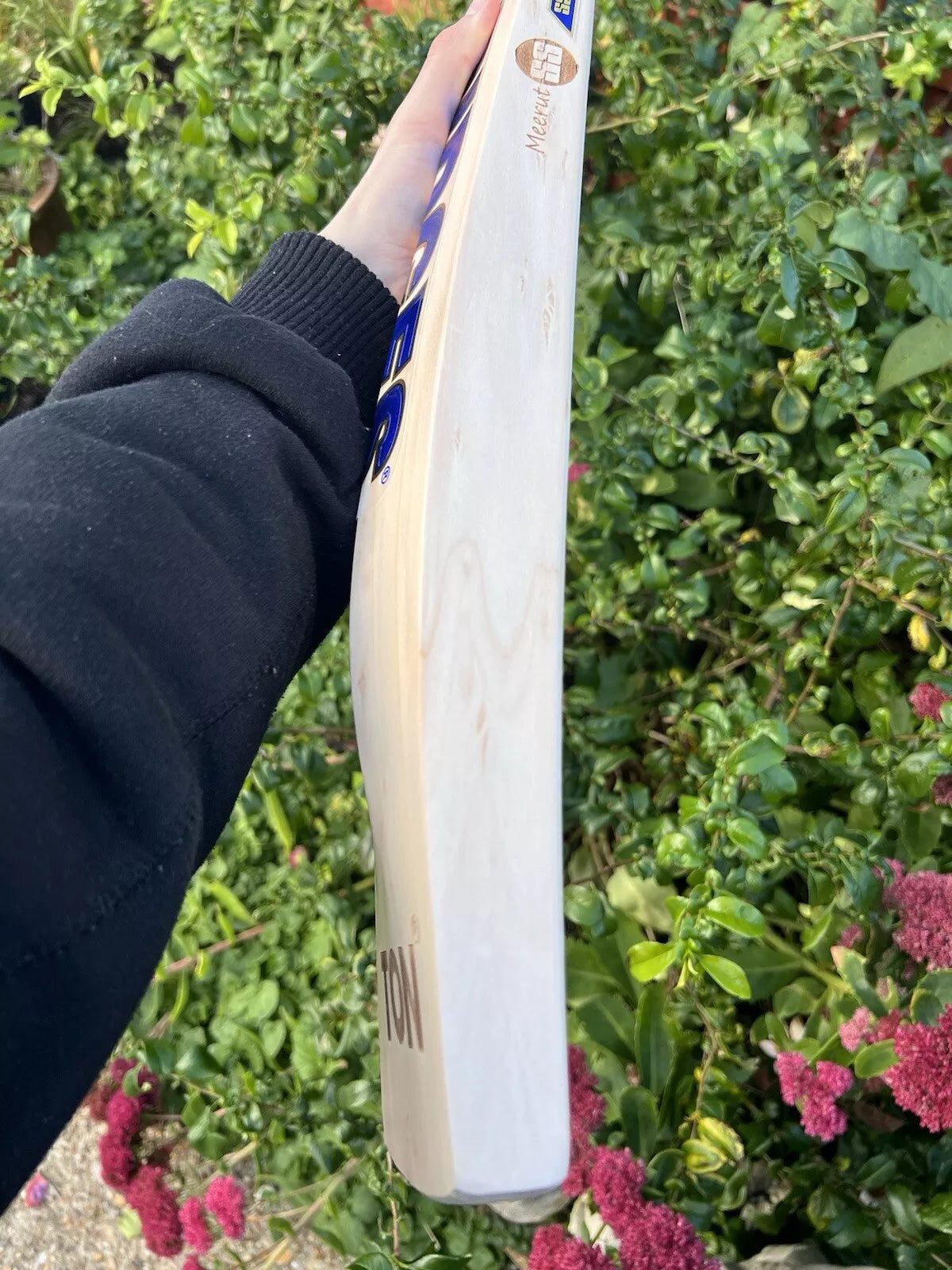 SS TON Riyan Parag Players Edition Cricket Bat Short Handle
