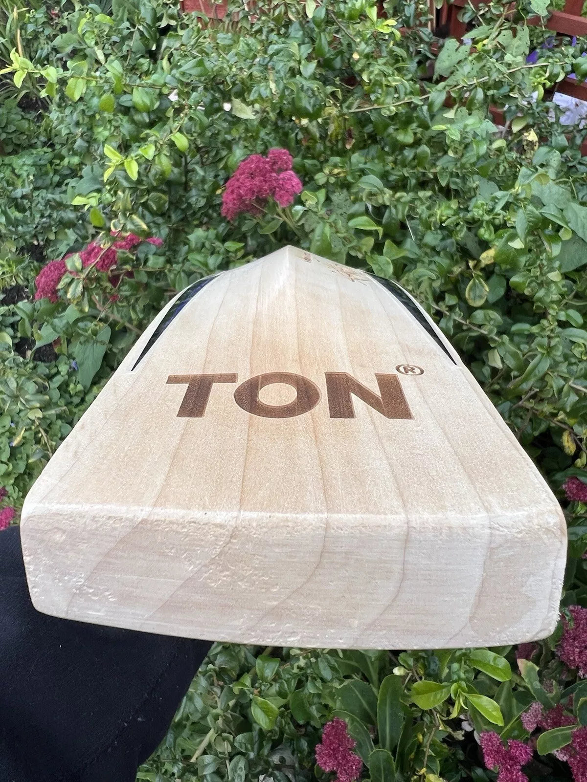 SS TON Players Edition Cricket Bat Short Handle