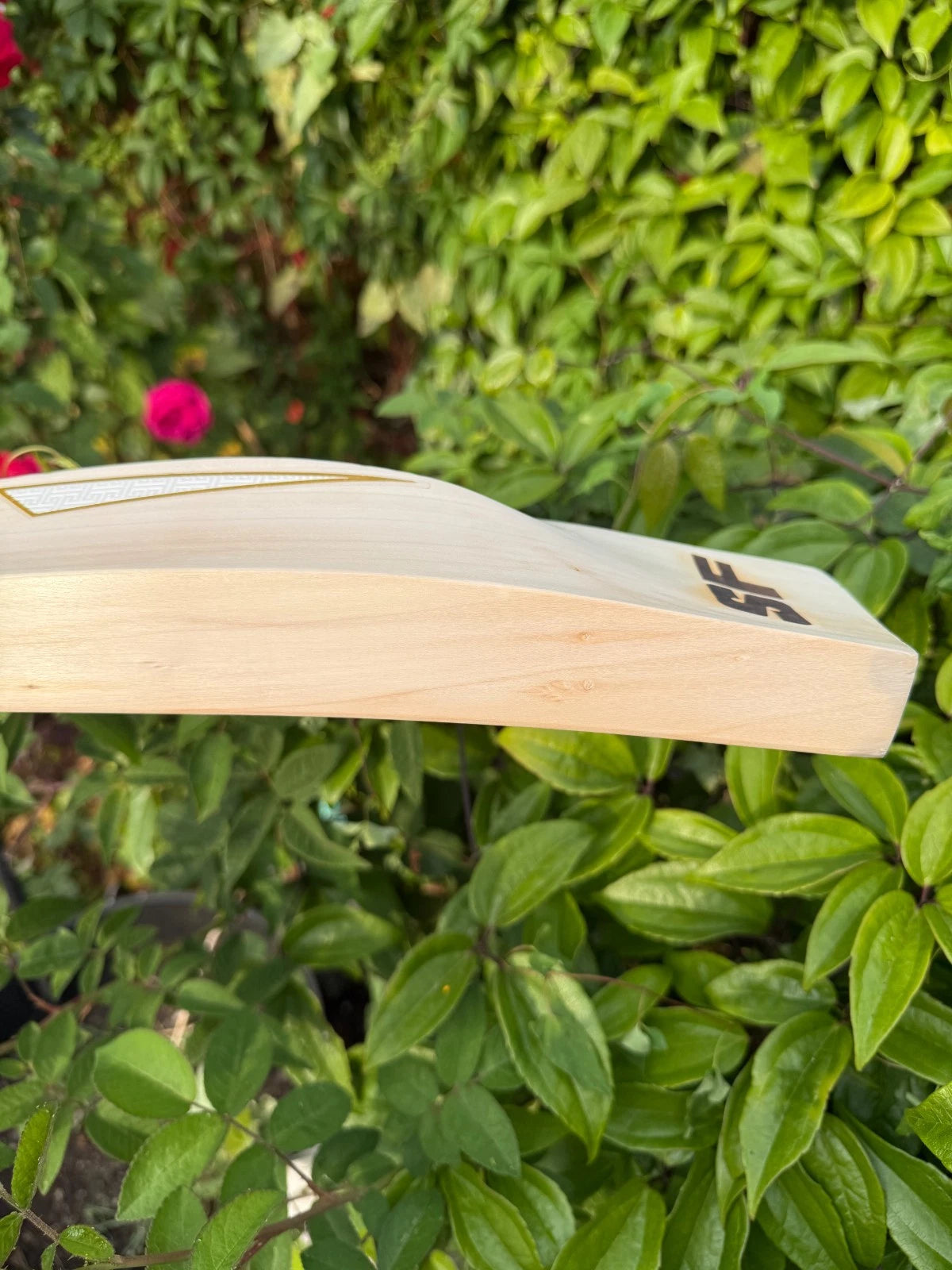 SF Stanford Magnum Icon Cricket Bat SH