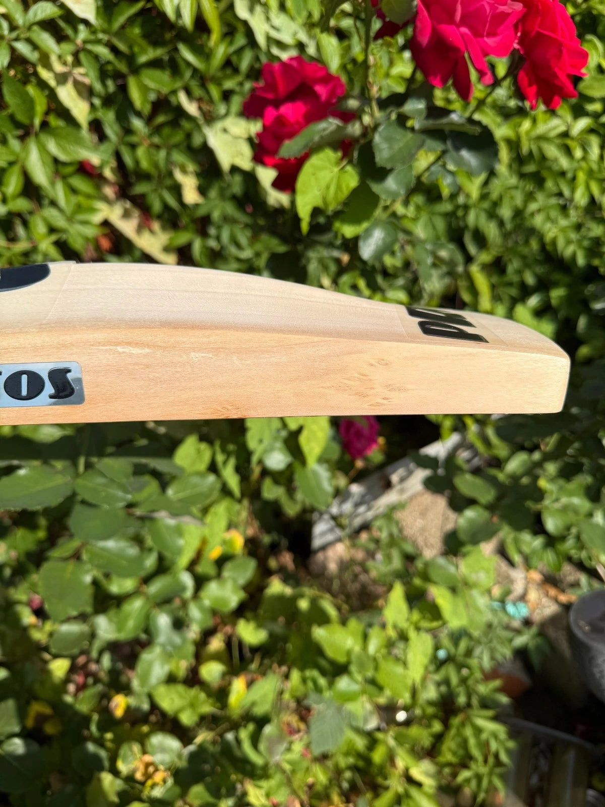 Protos Blizzard FC Sondhi Cricket Bat SH 2lbs 10oz