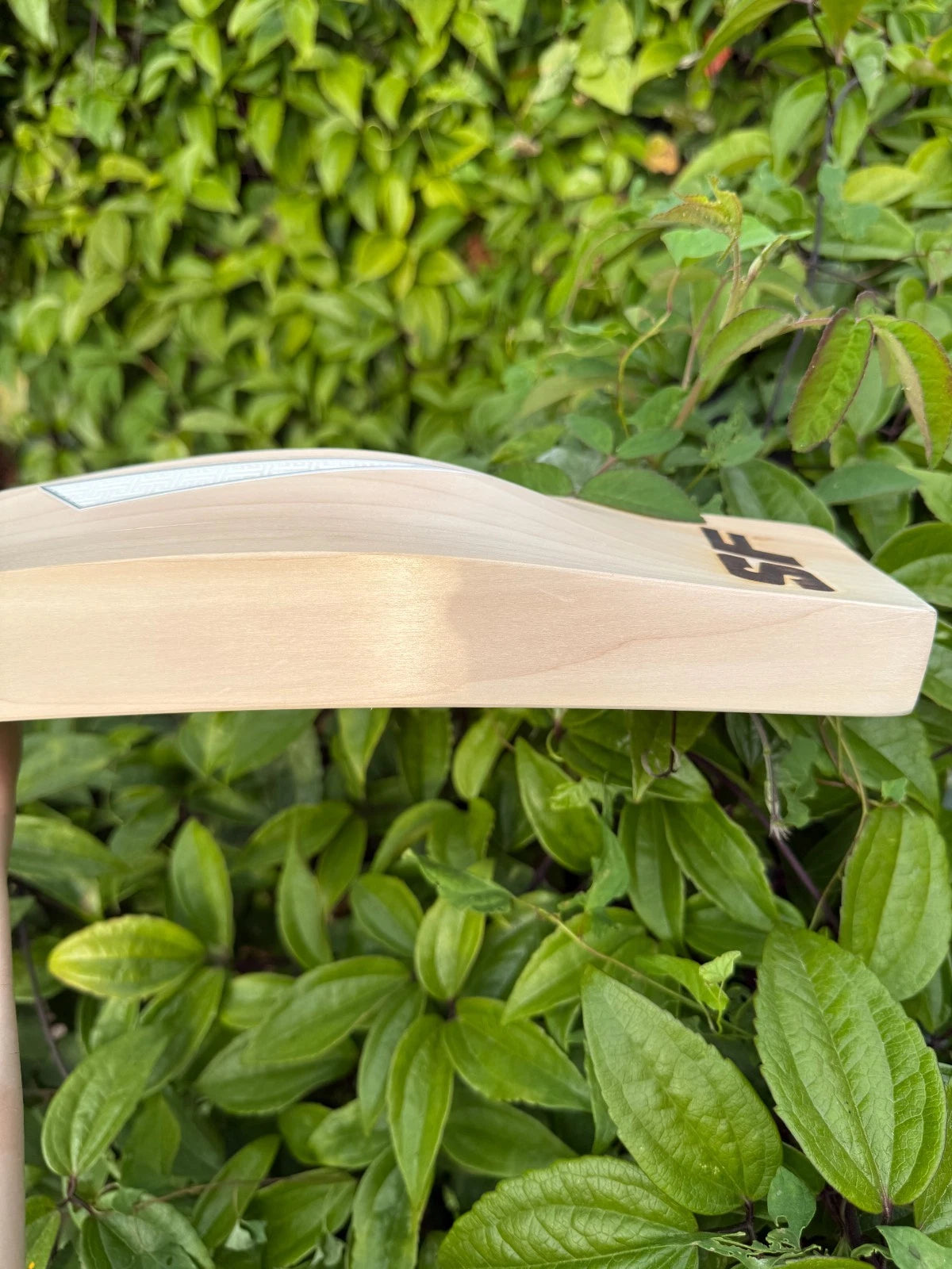 SF Stanford Gradiges 9000 Cricket Bat SH 2lbs 10oz