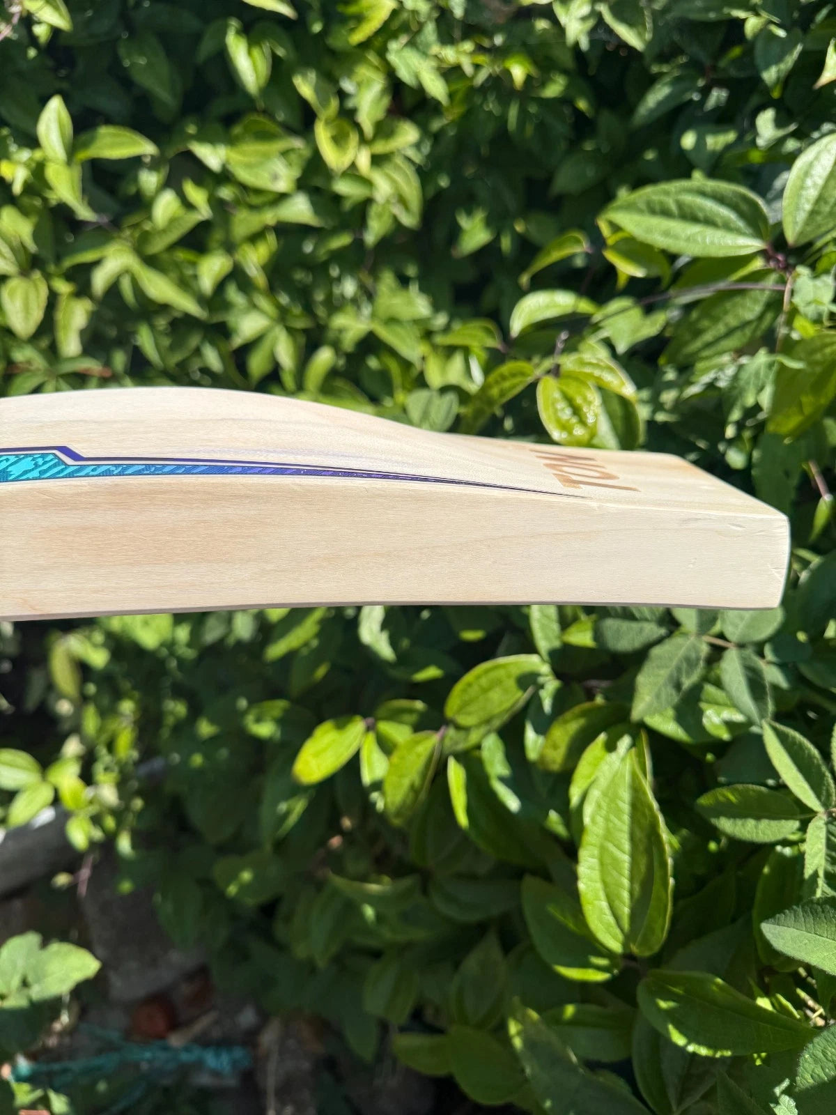 SS TON SKY Thunder Cricket Bat SH 2lbs 9oz
