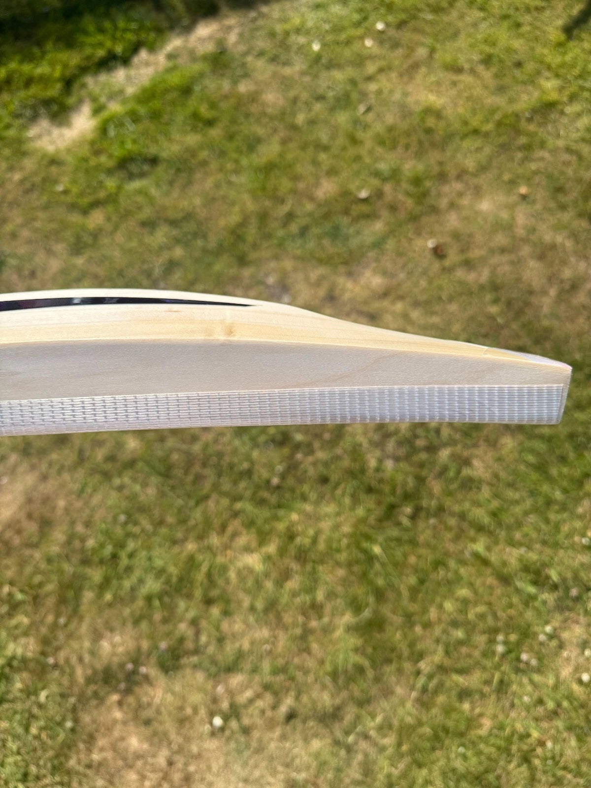 DSC Condor Drive Grade 1 Cricket Bat