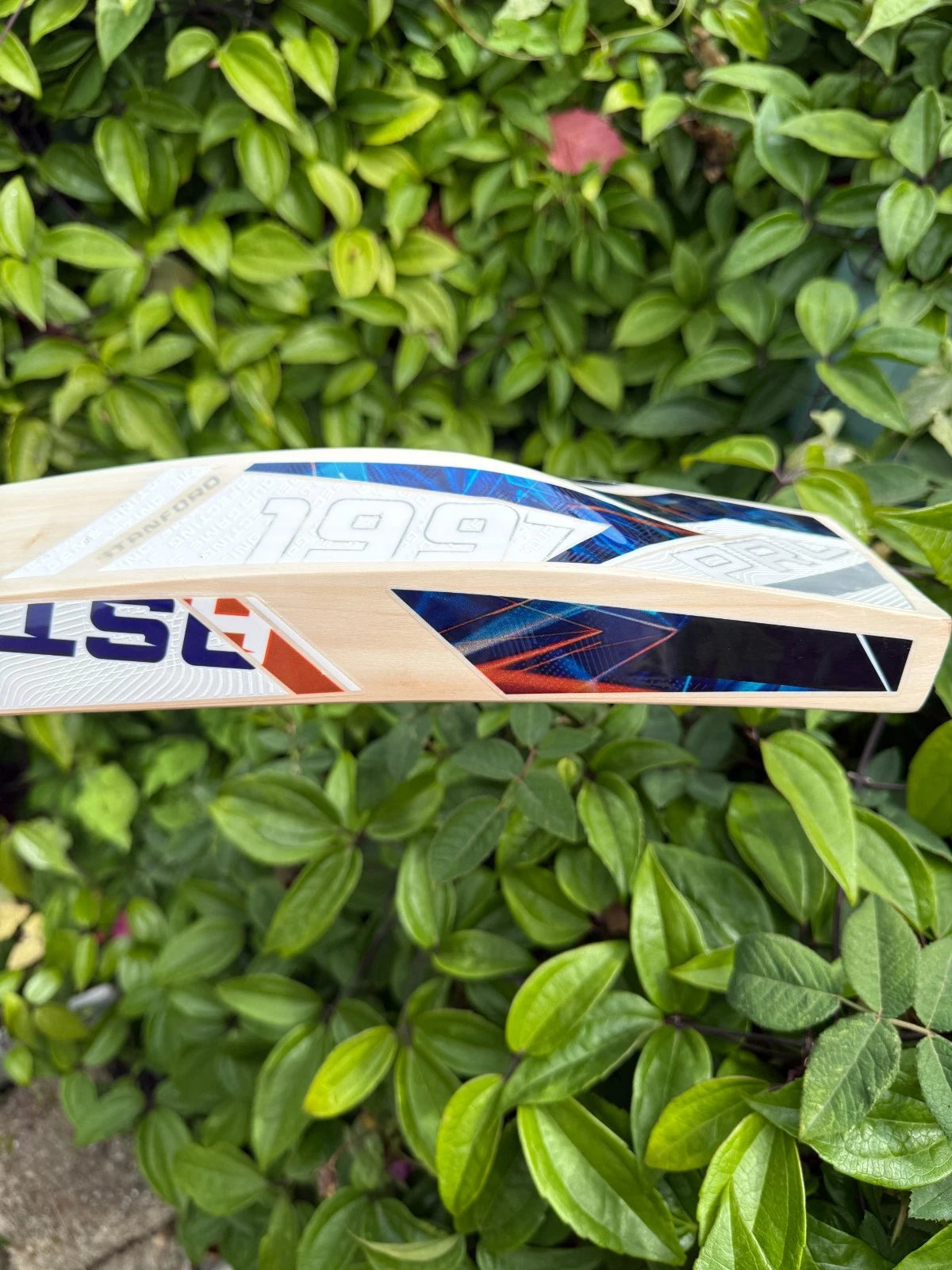 SF Stanford Blaster 7000 Cricket Bat SH 2lbs 10oz