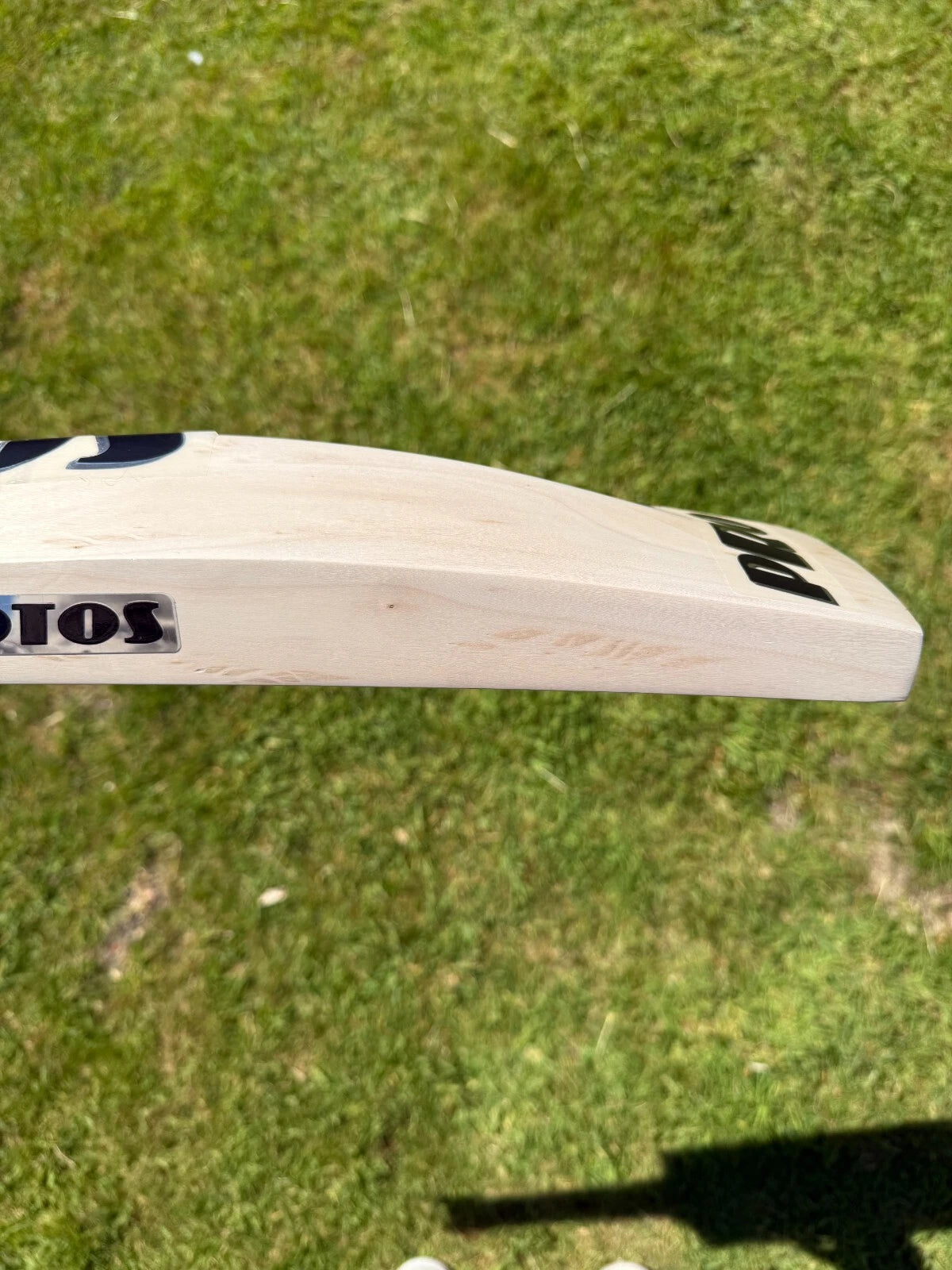 Protos Tornado Cricket Bat Short Handle 2lbs 9oz
