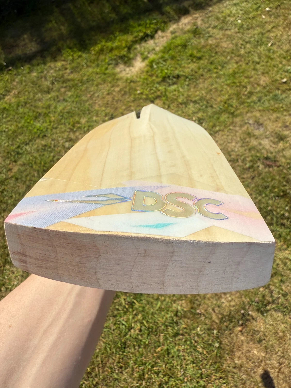 DSC Condor Drive Grade 1 Cricket Bat