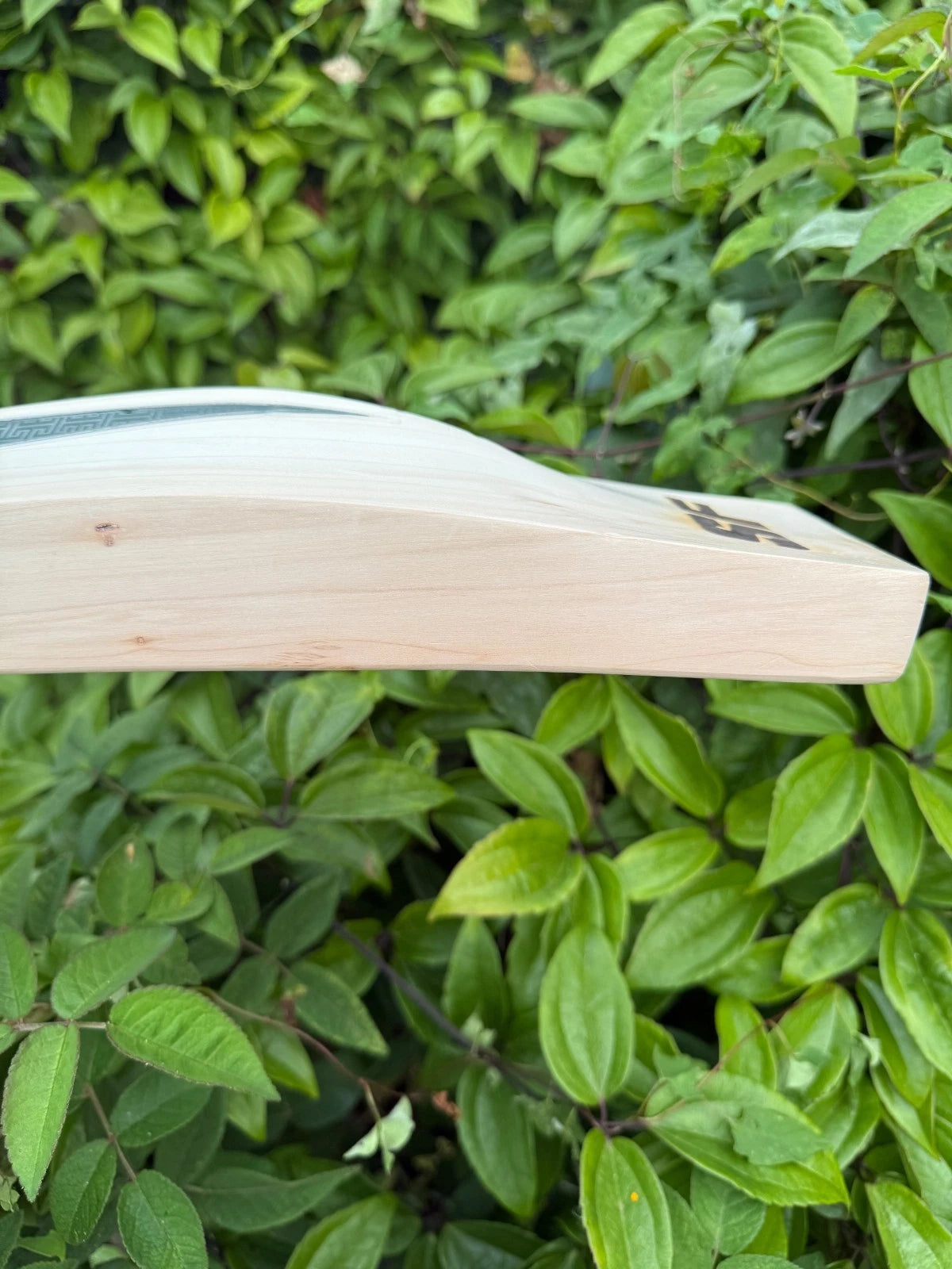 SF Stanlite Cricket Bat 2lbs 9oz - 67mm Spine