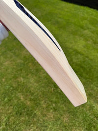 DSC BLAK 222 Cricket Bat Short Handle 2lbs 9oz
