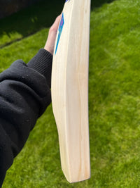 DSC BLU 111 Cricket Bat Short Handle 2lbs 8oz