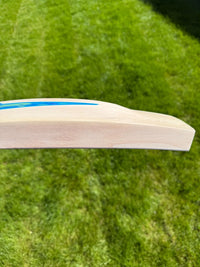 DSC BLU 111 Cricket Bat Short Handle 2lbs 8oz