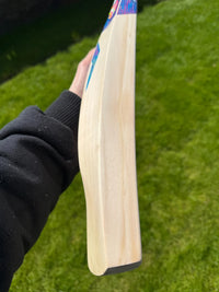 DSC BLU 111 Cricket Bat Short Handle 2lbs 8oz