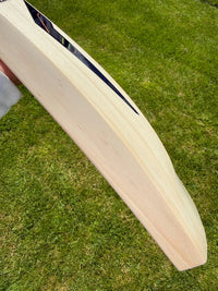 DSC BLAK450 Grade 1 Lightweight Cricket Bat
