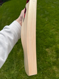 DSC Intense Attitude Cricket Bat Short Handle 2lbs 9oz