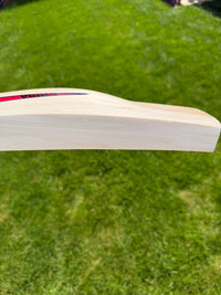 DSC Intense Attitude Cricket Bat Short Handle 2lbs 9oz