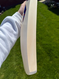 DSC Intense Rage Cricket Bat Short Handle 2lbs 8oz