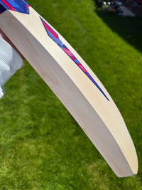 DSC Intense Rage Cricket Bat Short Handle 2lbs 8oz