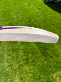 DSC Intense Rage Cricket Bat Short Handle 2lbs 8oz