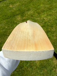 DSC Intense Shoc Lightweight Cricket Bat Short Handle 2lbs 8oz