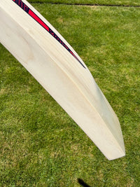 DSC Intense Shoc Lightweight Cricket Bat Short Handle 2lbs 8oz