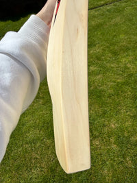 DSC Intense Shoc Lightweight Cricket Bat Short Handle 2lbs 8oz