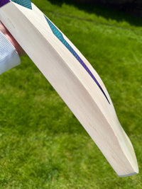 DSC RS040 Lightweight Cricket Bat Short Handle 2lbs 9oz